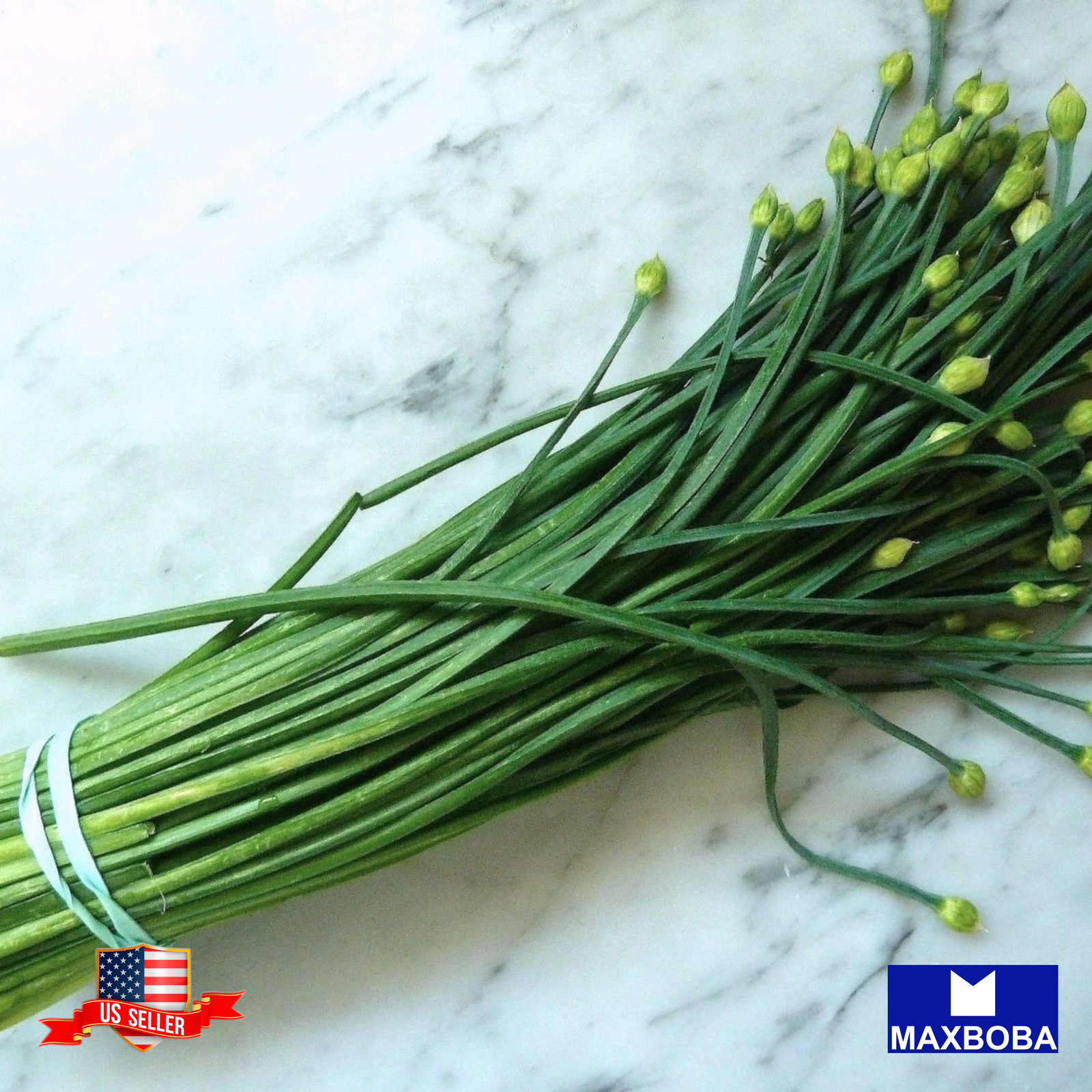 Chives Seeds Garlic (Organic) Non-GMO Heirloom