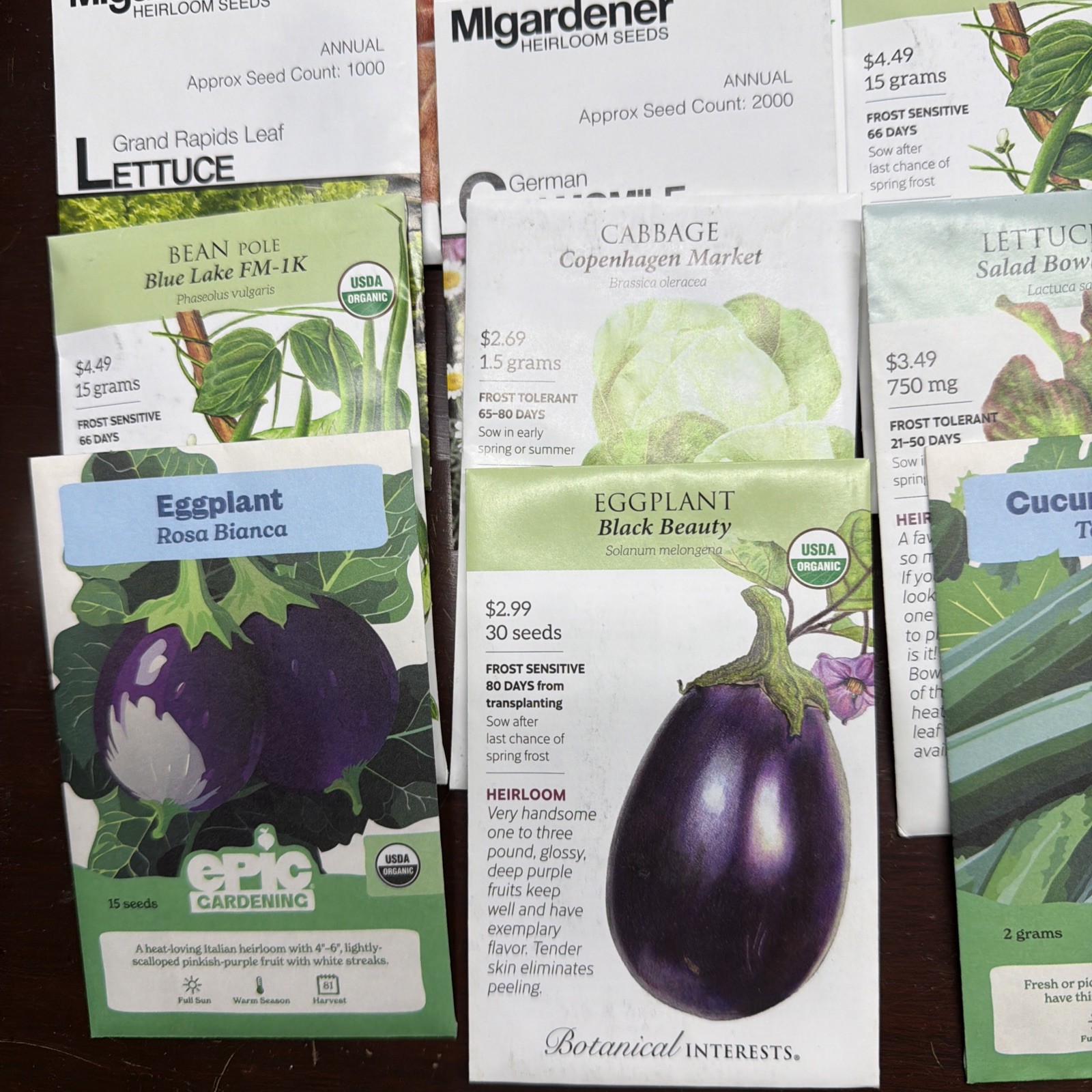 20 Packs Veggie Vegetable Flower Herb Garden Seeds Nice Variety