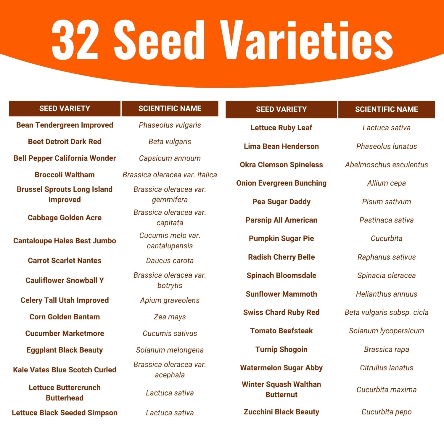 Open Seed Vault |15,000 Heirloom Seeds | 32 Types | Survival Multi Color