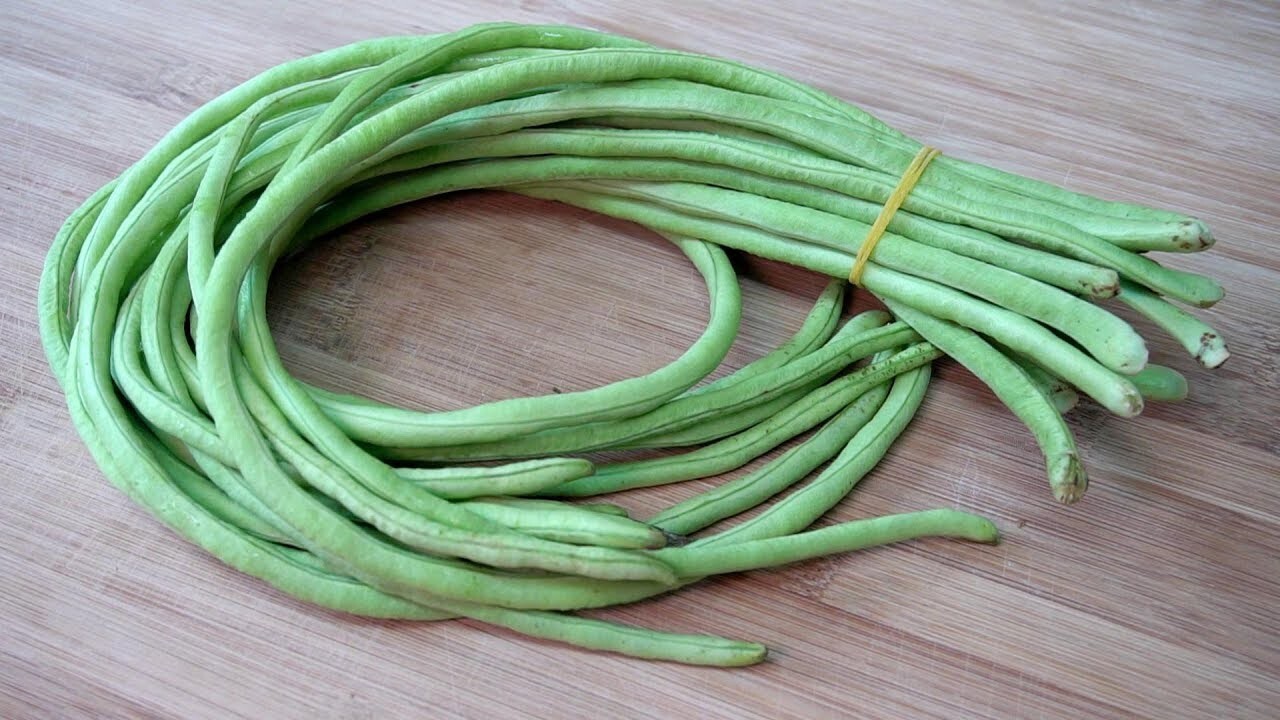 🌱 Heirloom Red-Seeded Asparagus Yardlong Bean 20 Seeds