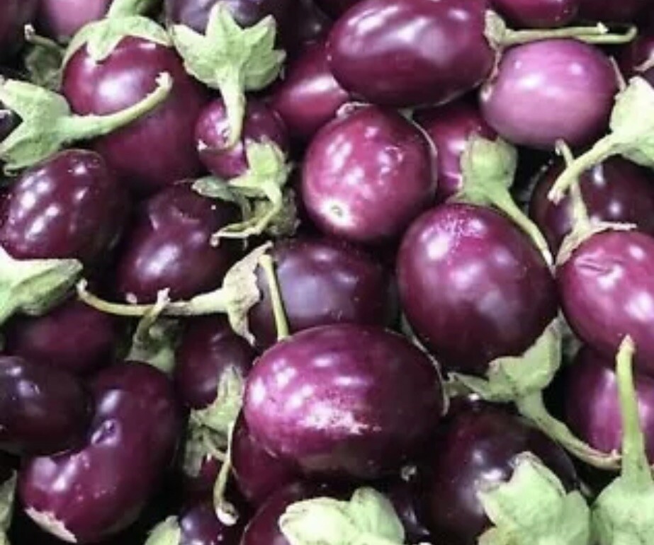 30 SEEDS SMALL ROUND PURPLE EGGPLANT/THAI EGGPLANT NON GMO FRESH SEEDS