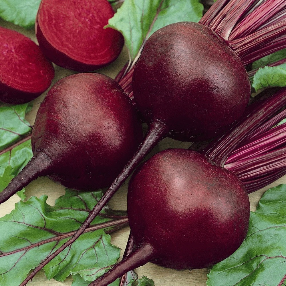 Detroit Dark Red Beet Seeds, NON-GMO , ORGANIC, HEIRLOOM – Free Shipping!