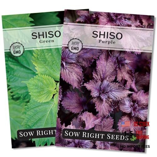 – Shiso Seed Collection for Planting – Includes Green & Purple – Non-GMO