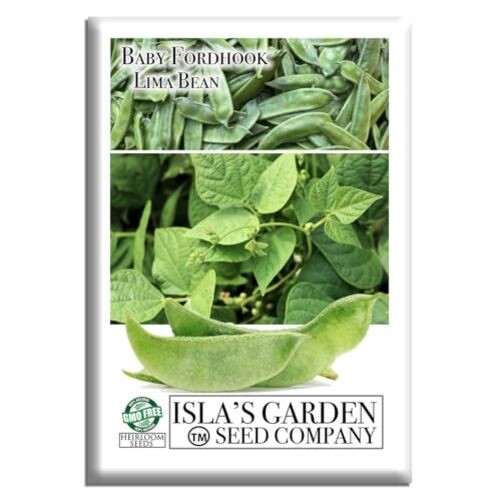 Baby Fordhook Lima Bean Seeds (Bush Lima, Phaseolus lunatus) – 25 Non GMO