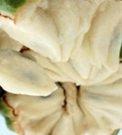 100 pcs Organic Sugar Apple Annona Thai Custard Apple Seeds Plant Fruit Tropical