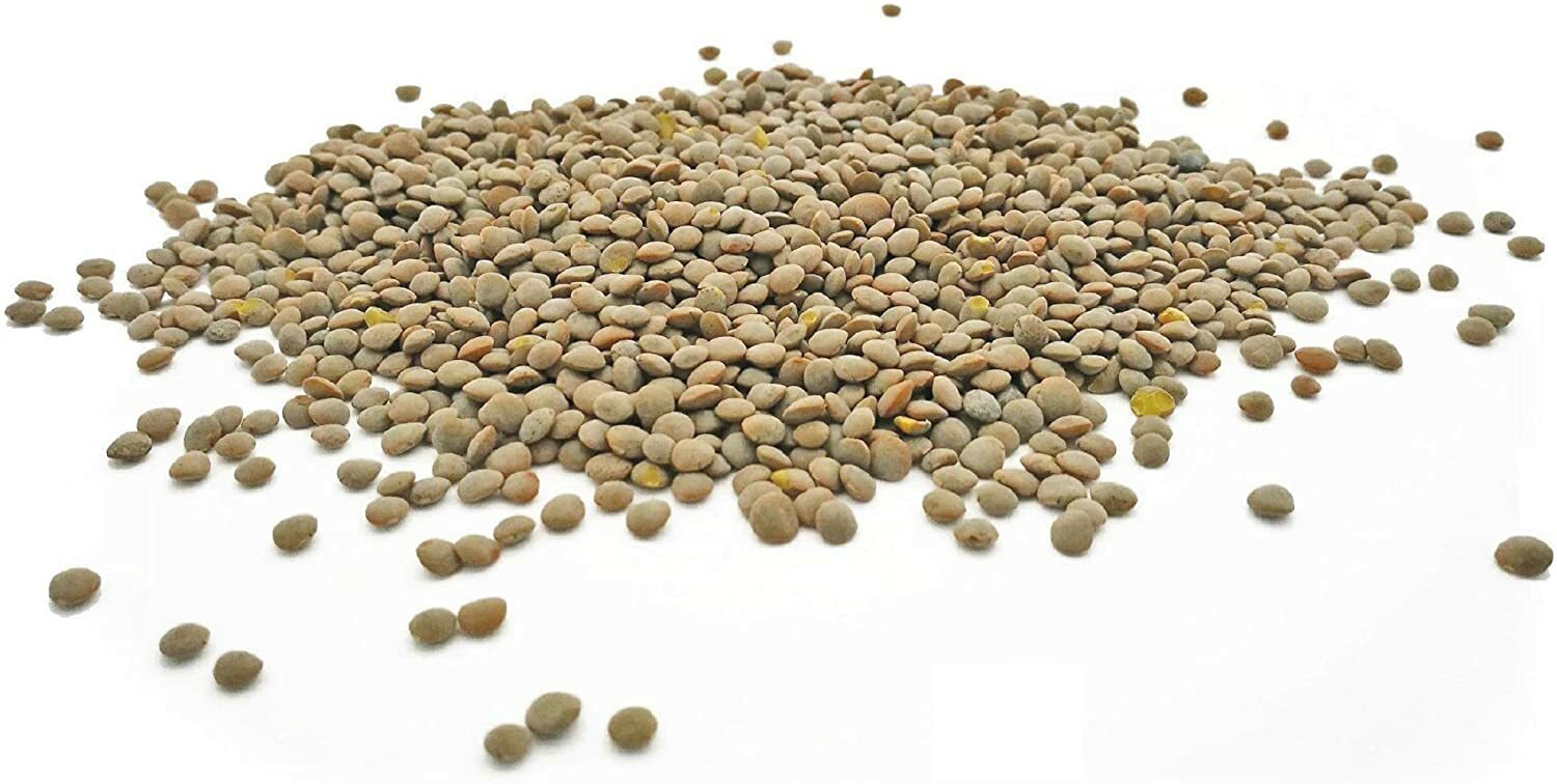 2 oz Green Lentil