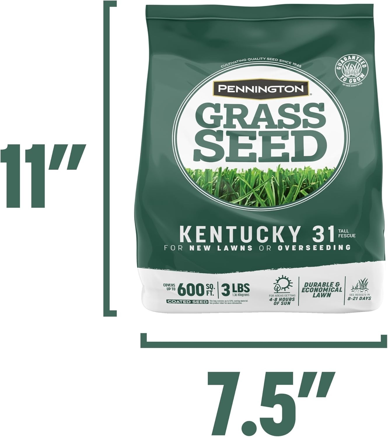 Fast Grow Grass Seed Mix for Sun And Shade Lawn Areas, 3 Pounds
