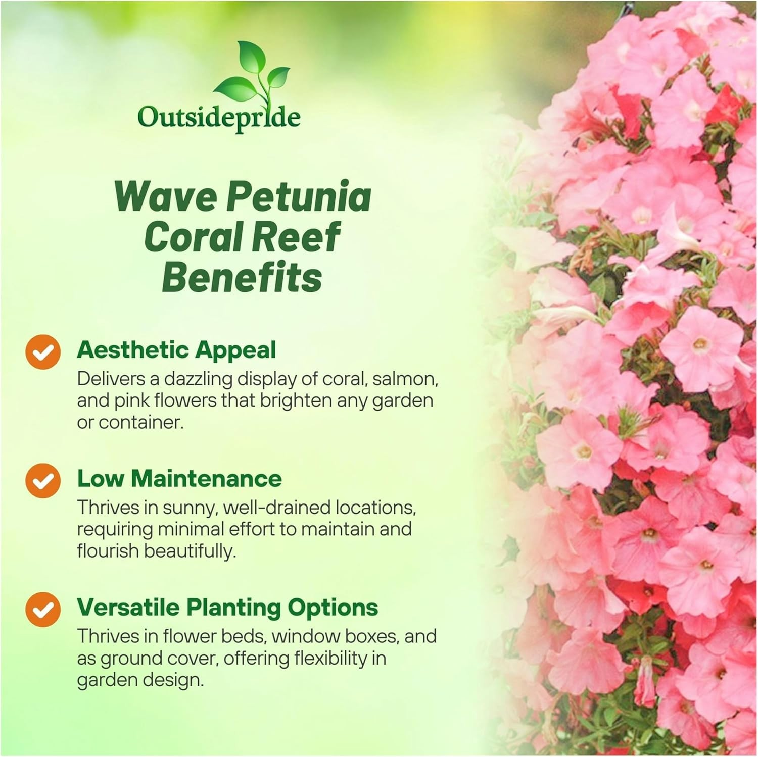 30 Seeds Easy Wave Spreading Petunia Coral Reef Flower Seeds
