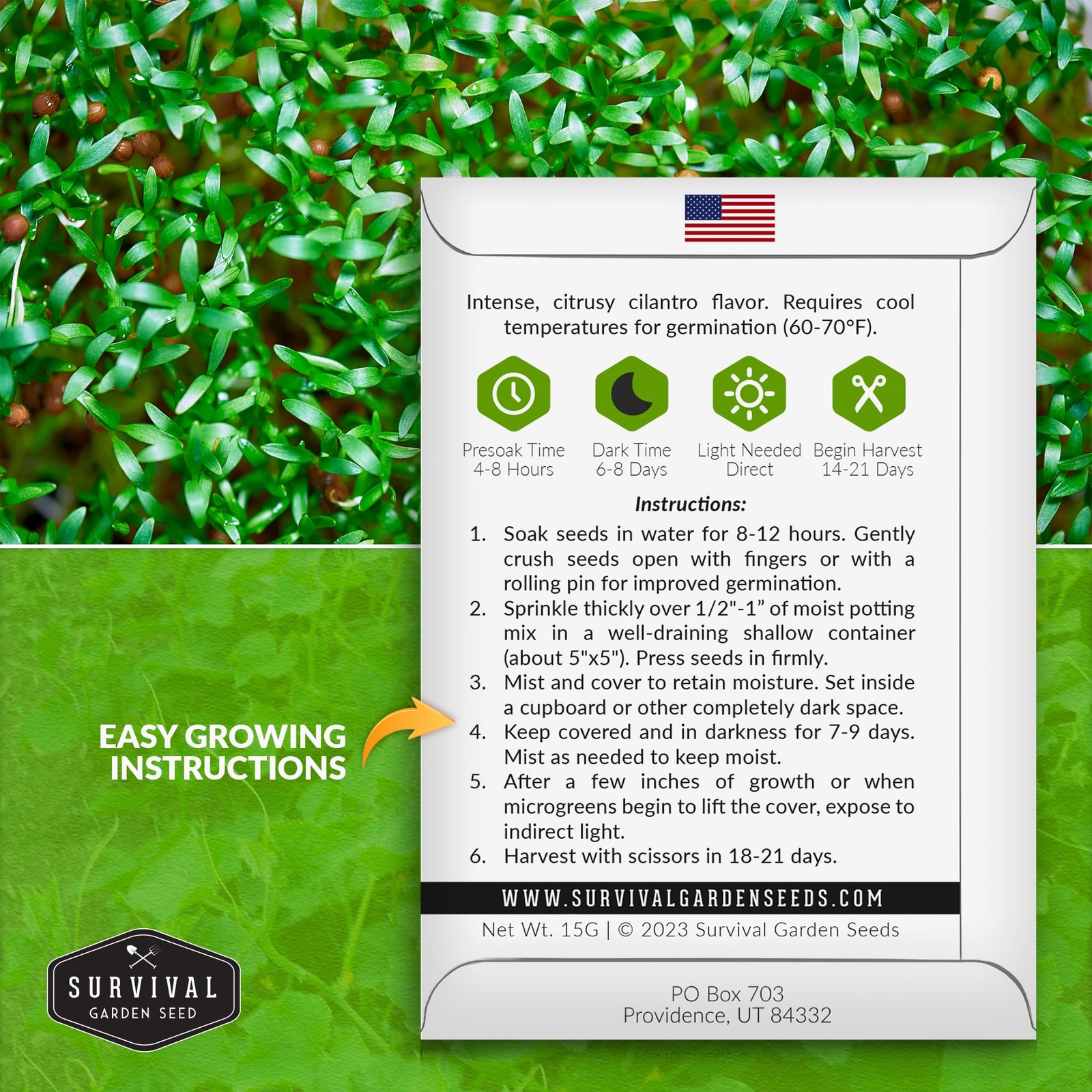 Cilantro Microgreen Seeds for Planting – Non-GMO Heirloom Cilantro Seeds to G…