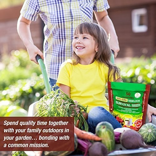 Heirloom Vegetable Seeds 50 Varieties Non GMO Survival Seed Kit 9500 Seeds