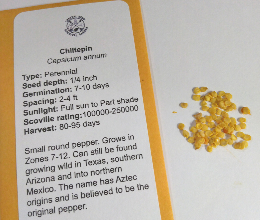 25 Chiltepin pepper seeds, aka Bird Peppers, Capsicum annum, Very Hot Pepper