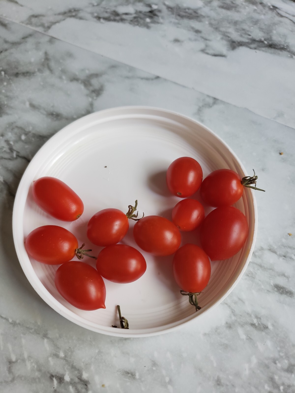 Heirloom, Open Pollinated, Non GMO Garden Seeds