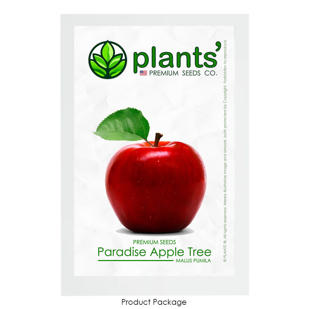 Paradise Apple | Premium Seeds | Malus pumila ‘Fruit’ | Plants’®