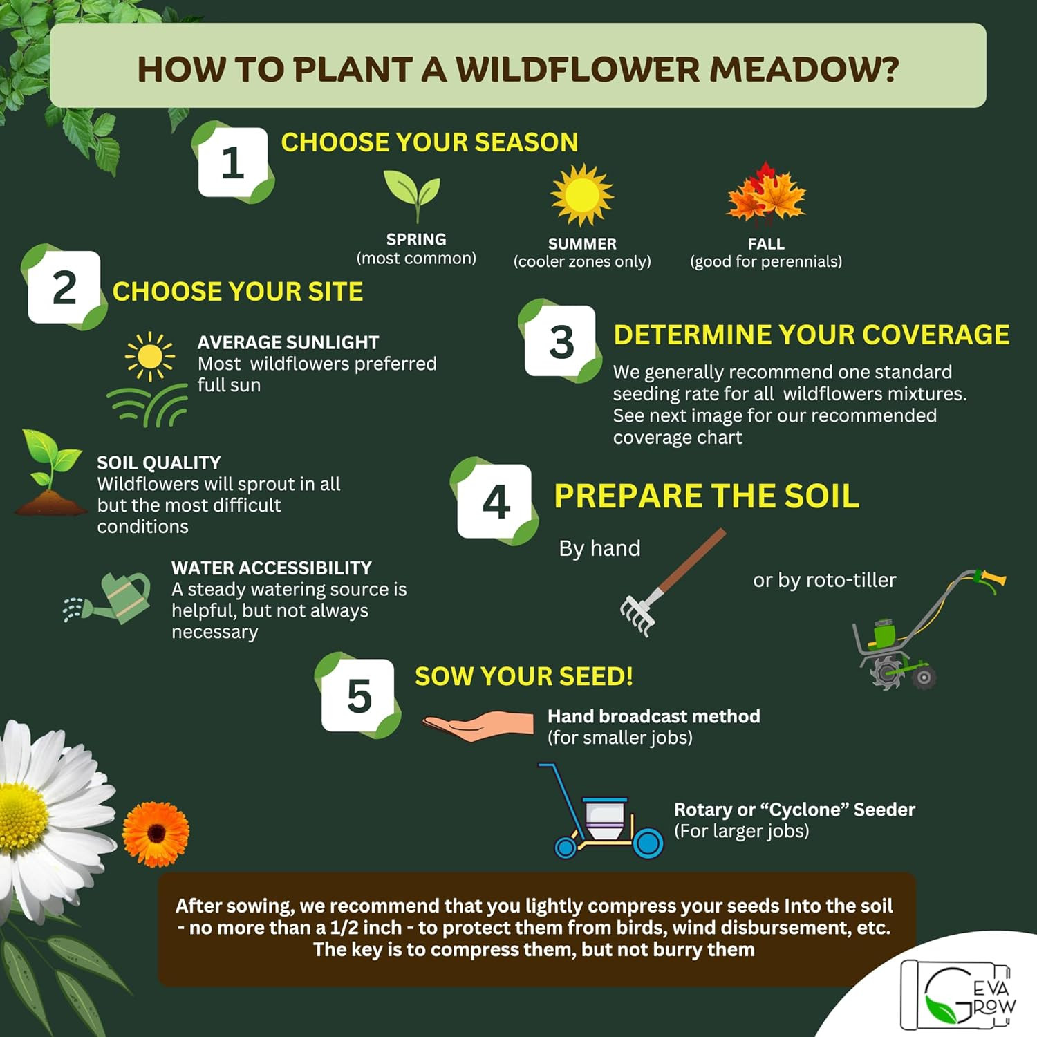 Bulk Wildflower Seed Shaker – Perennial Flower Seeds Mix to Plant Anywhere, by G