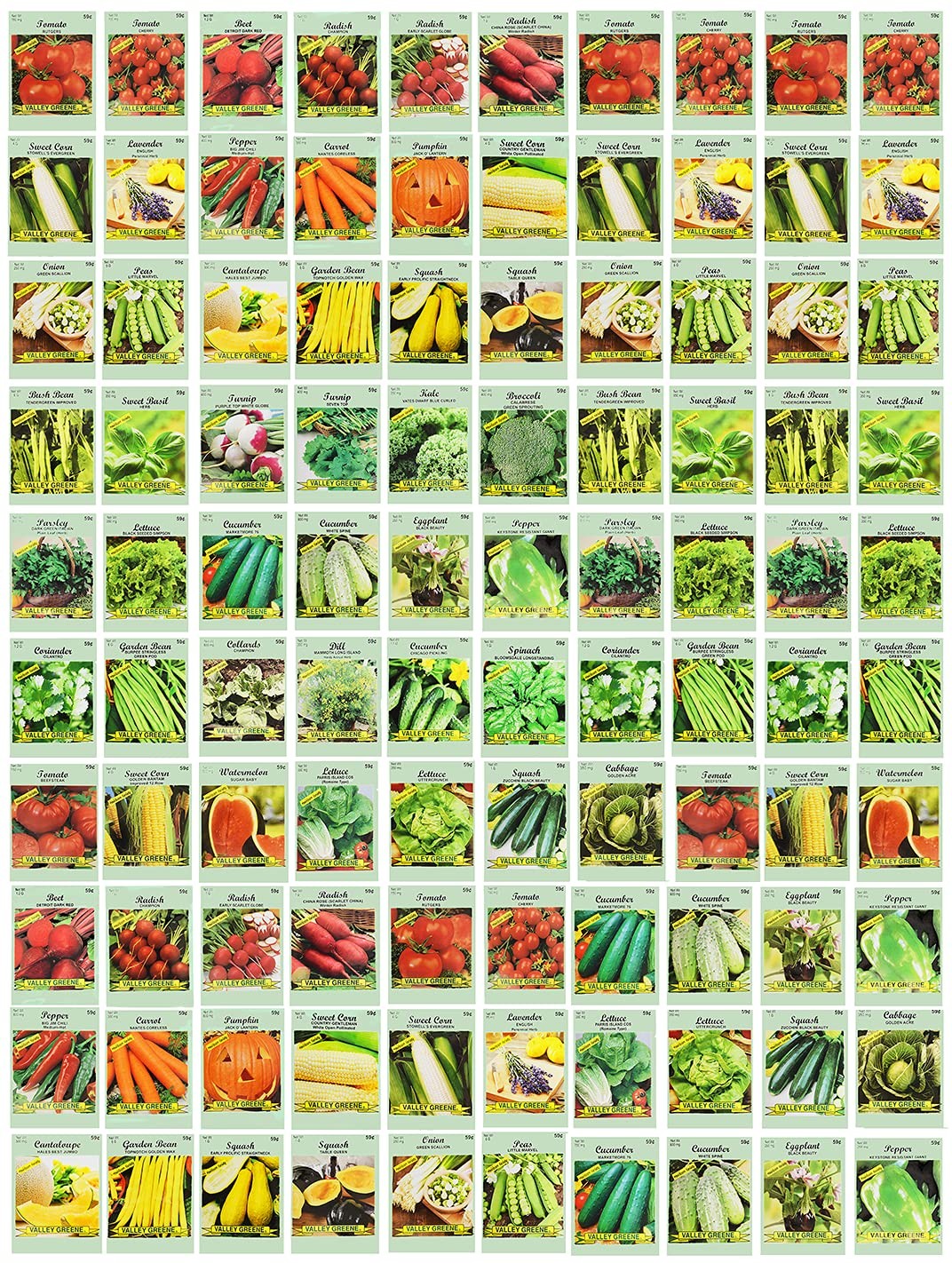 100 Assorted Heirloom Vegetable Seeds 100% Non-GMO (100, Deluxe Assorted Vege…