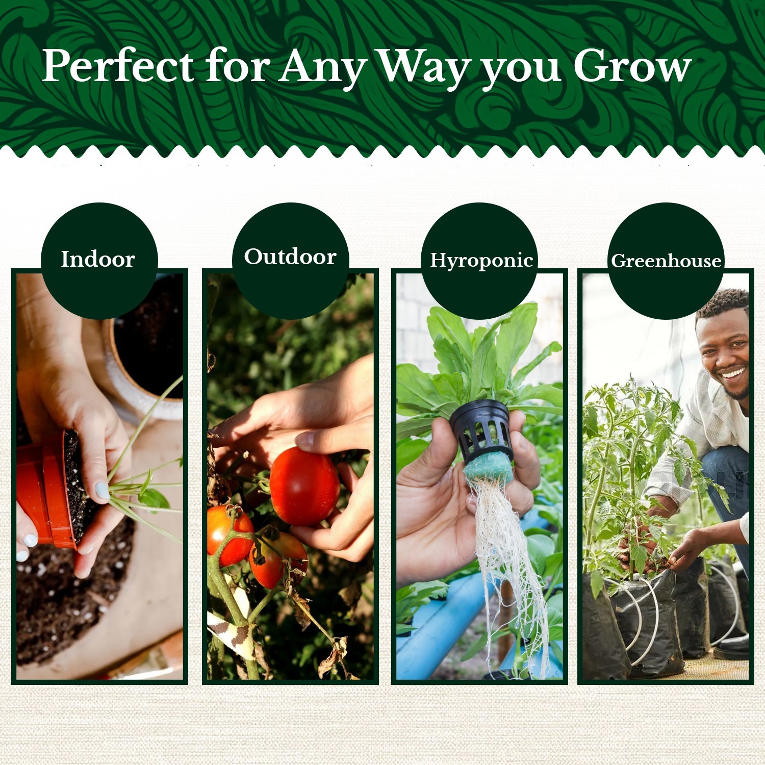 20 HERB Seeds Variety Pack Complete Grow Kit Culinary Herbs Indoor Outdoors Seed