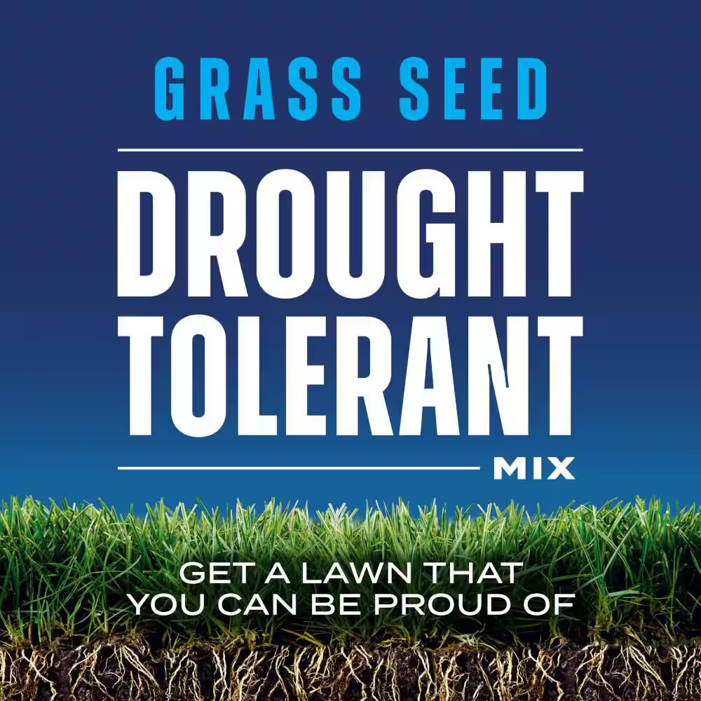 Grass Seed Drought Tolerant Mix 10 Lb. 5,000 Sq. Ft. Kentucky Bluegrass and Tall