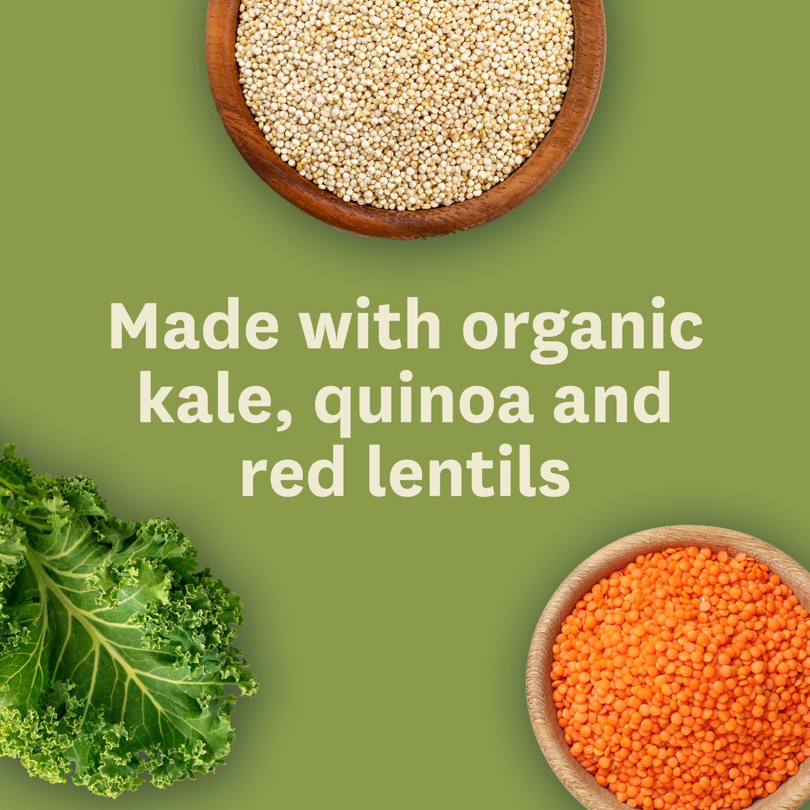 Soup, Vegan, Gluten , Organic Kale, Quinoa and Red Lentil, 14.4 Ounce (Pack o…