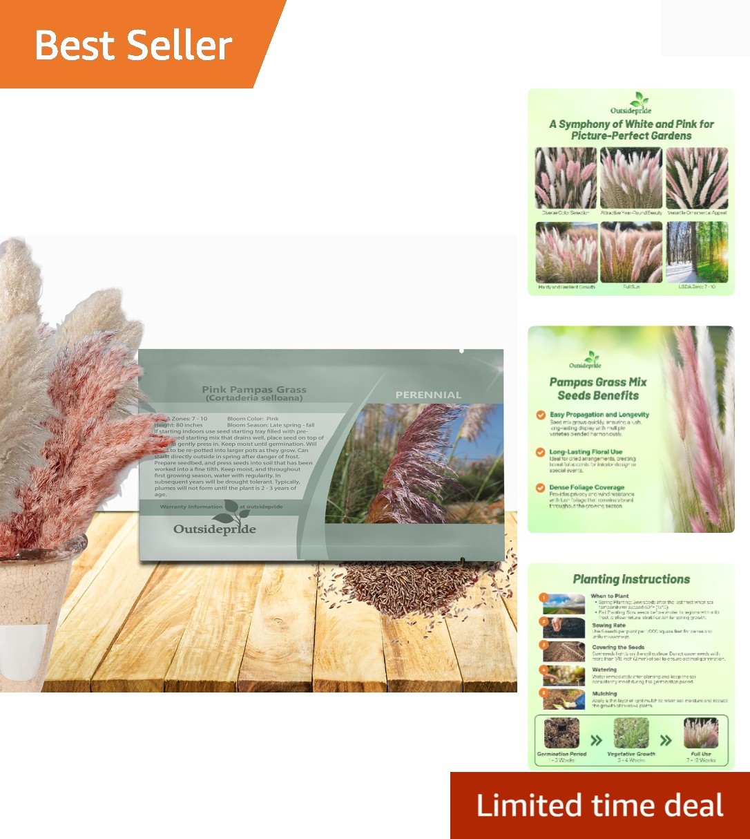 Mix Pampas Grass Seeds – 1,000 Pcs. Perennial, Drought-Tolerant Ornamental Gr…
