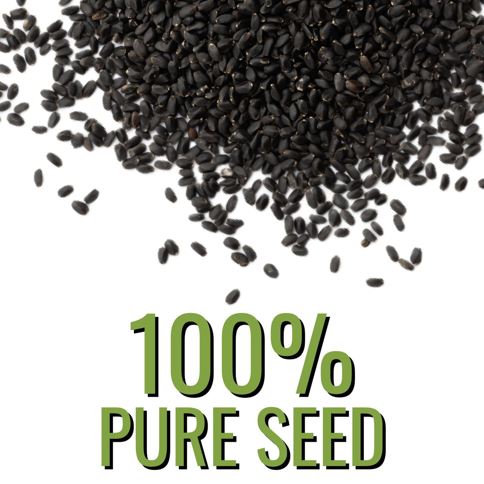 Basil Seeds for Planting – Non-GMO Thai Basil for Indoor/Outdoor Herb Garden