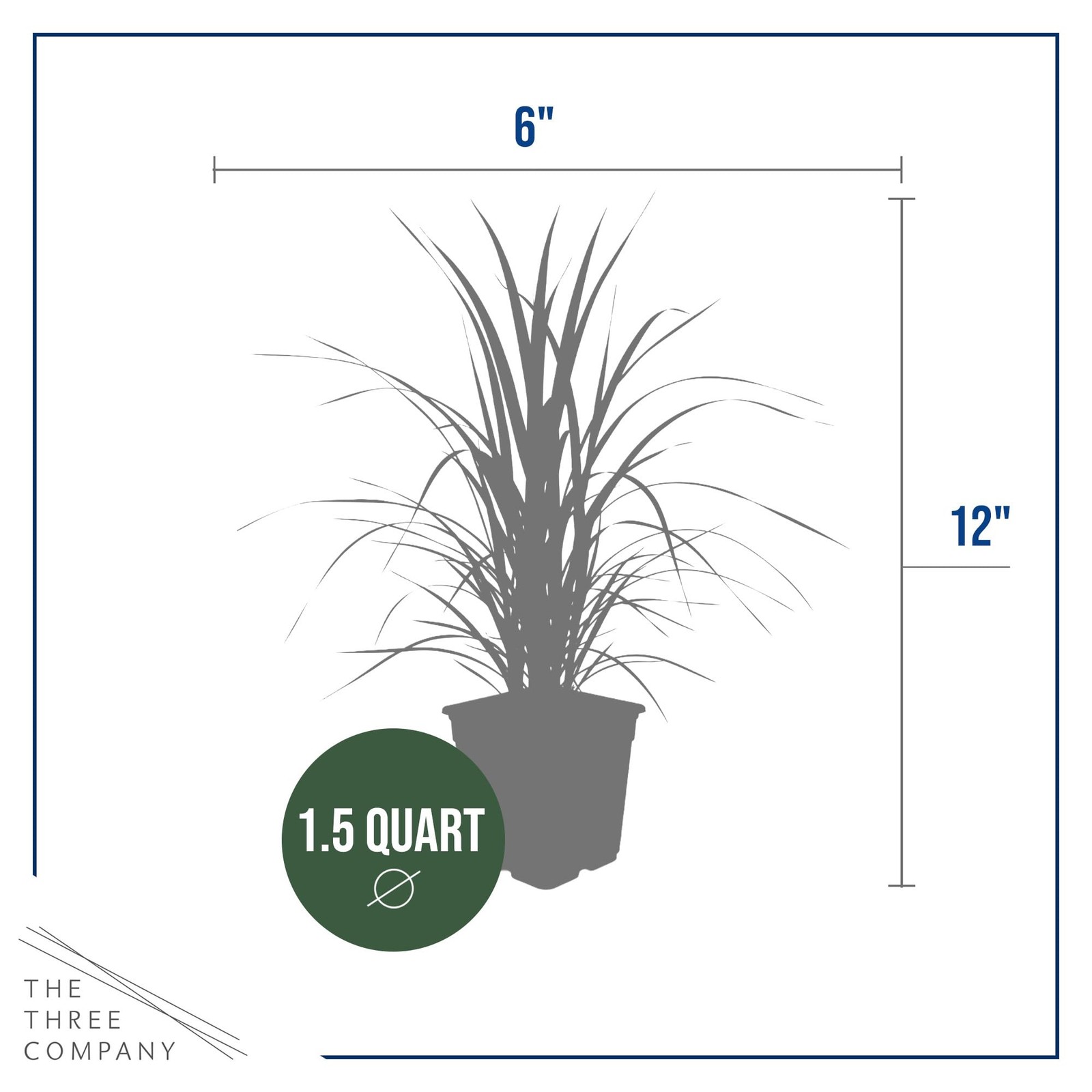 Pampas Grass Assorted Pink & White 2 Pack Perennial Accent Plant, 10″ Tall
