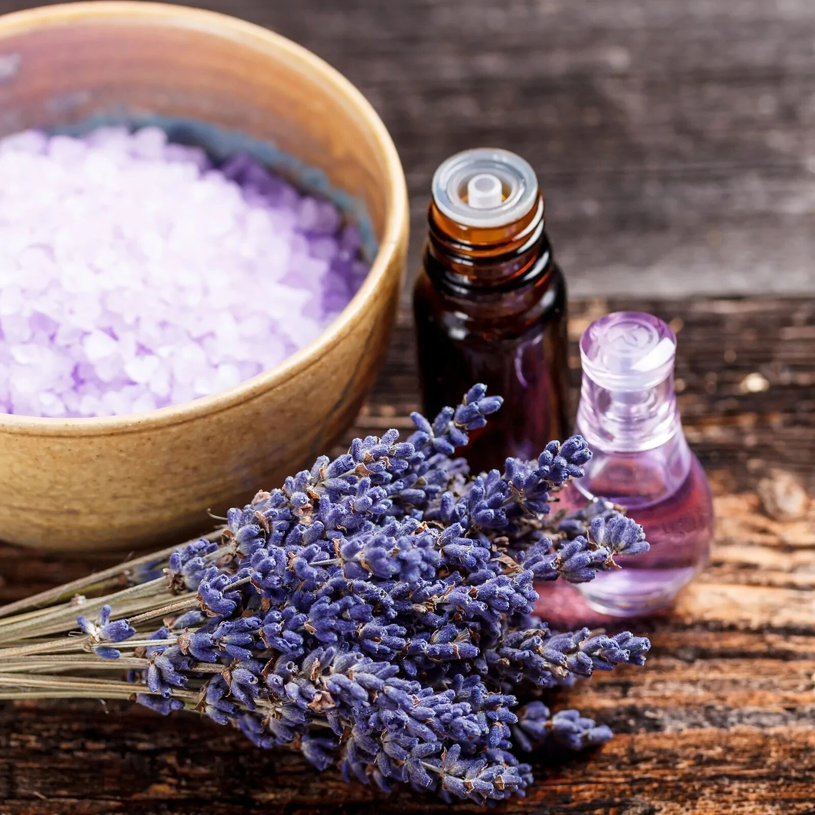 700 True Lavender Seeds Non-GMO Lavandula angustifolia Free Shipping