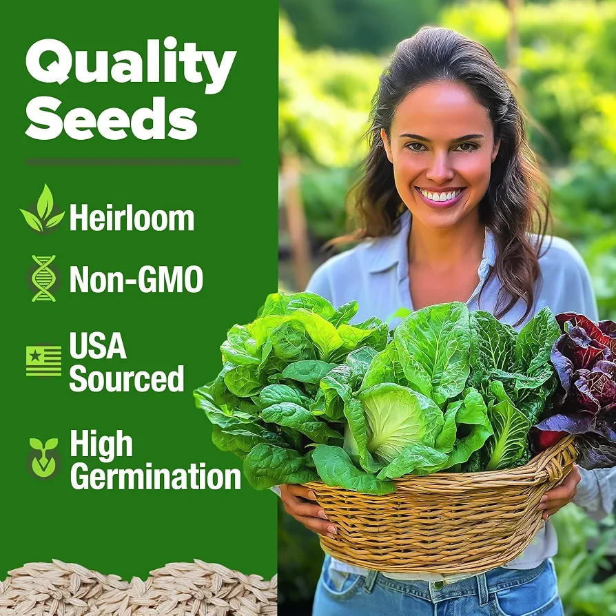 HOME GROWN 5 Lettuce Heirloom Seed Pack 3950+ Non-GMO Garden Seeds USA