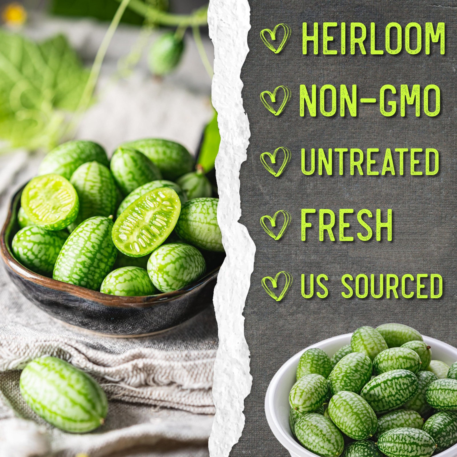 Needs Cucamelon Seeds for Planting Mexican Sour Gherkin Miniature Melons – No…
