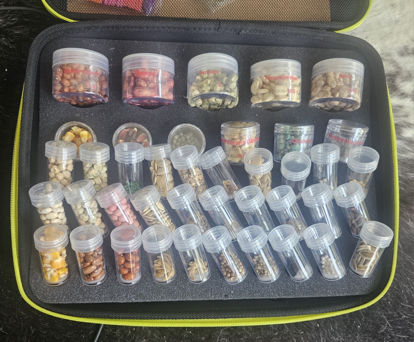 Heirloom Seeds Giant Set 41 Piece.