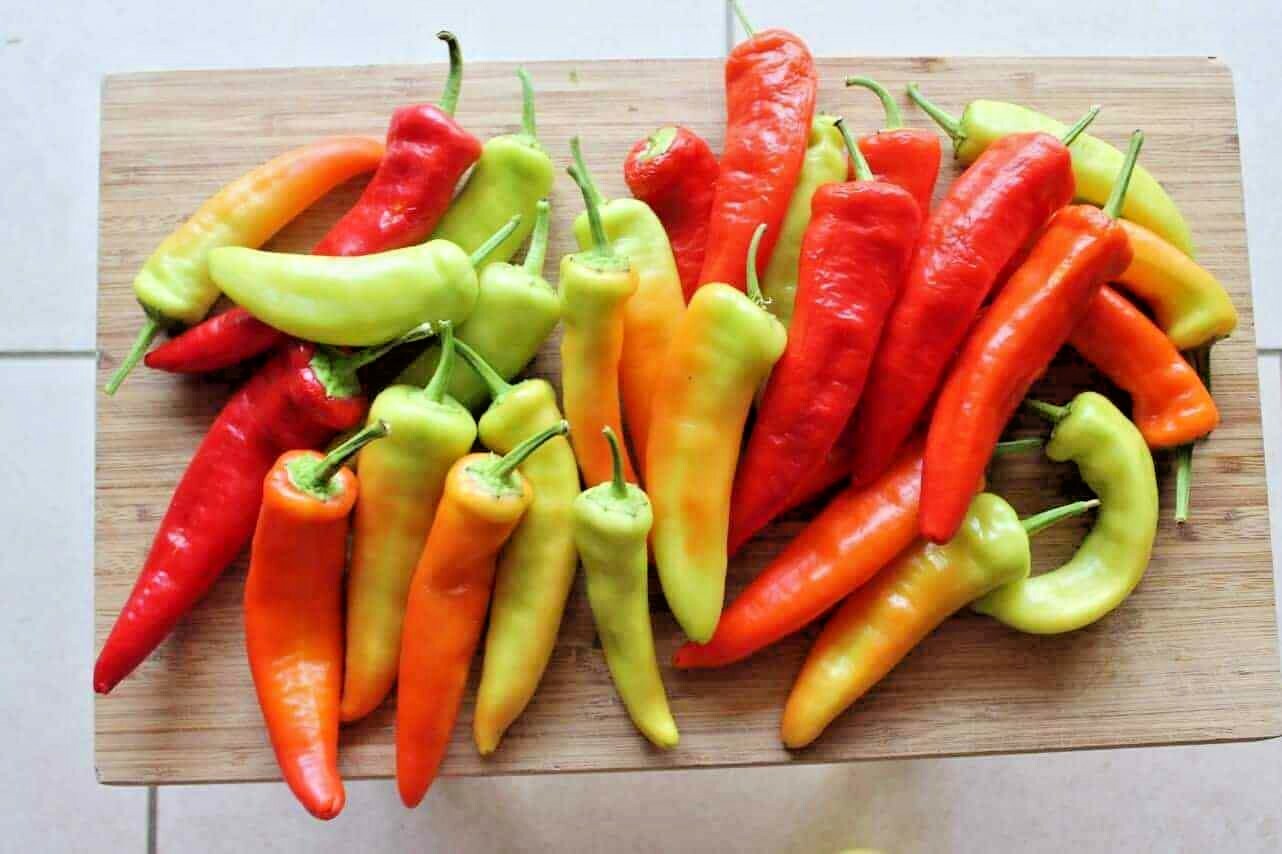 101+HUNGARIAN Sweet Wax PEPPER Seeds Organic Vegetable Garden Container Banana
