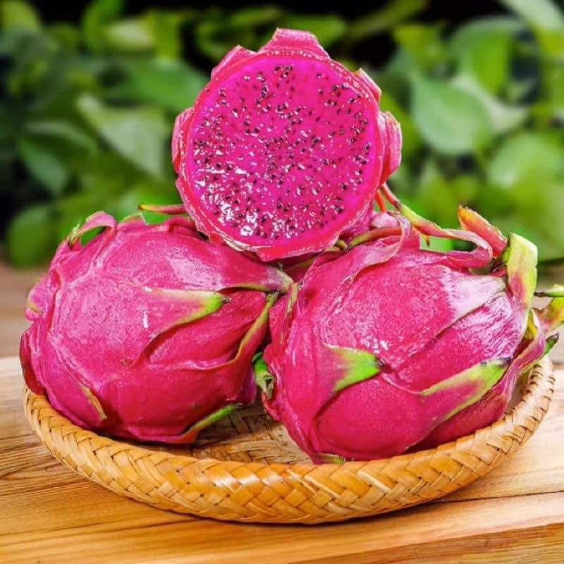 150 Red Dragon Fruit Seeds Easy Germination for Home Growth Organic Pitaya