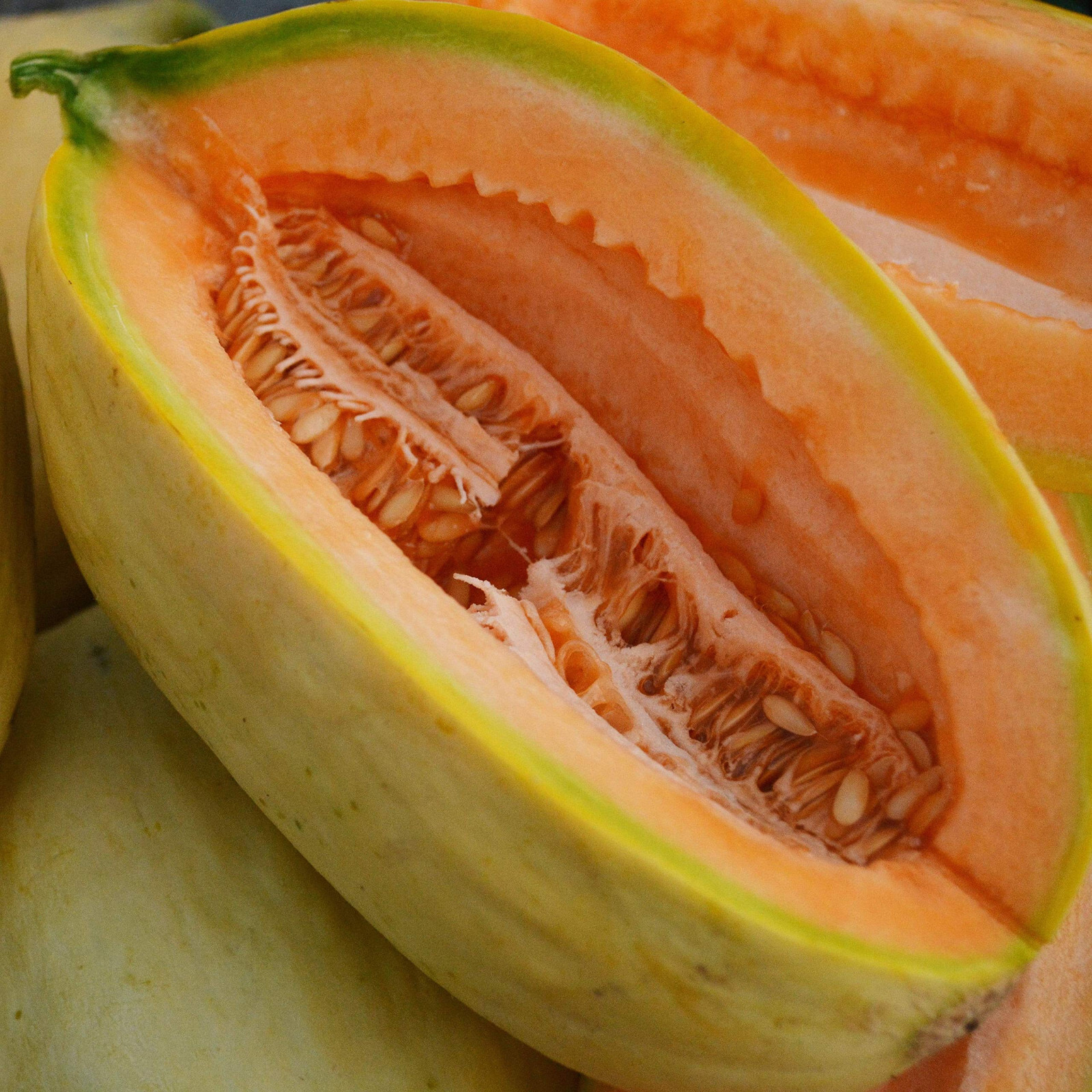 40 Heirloom Banana Melon Seeds – Unique Flavor and Appearance! Heavenly Sweet