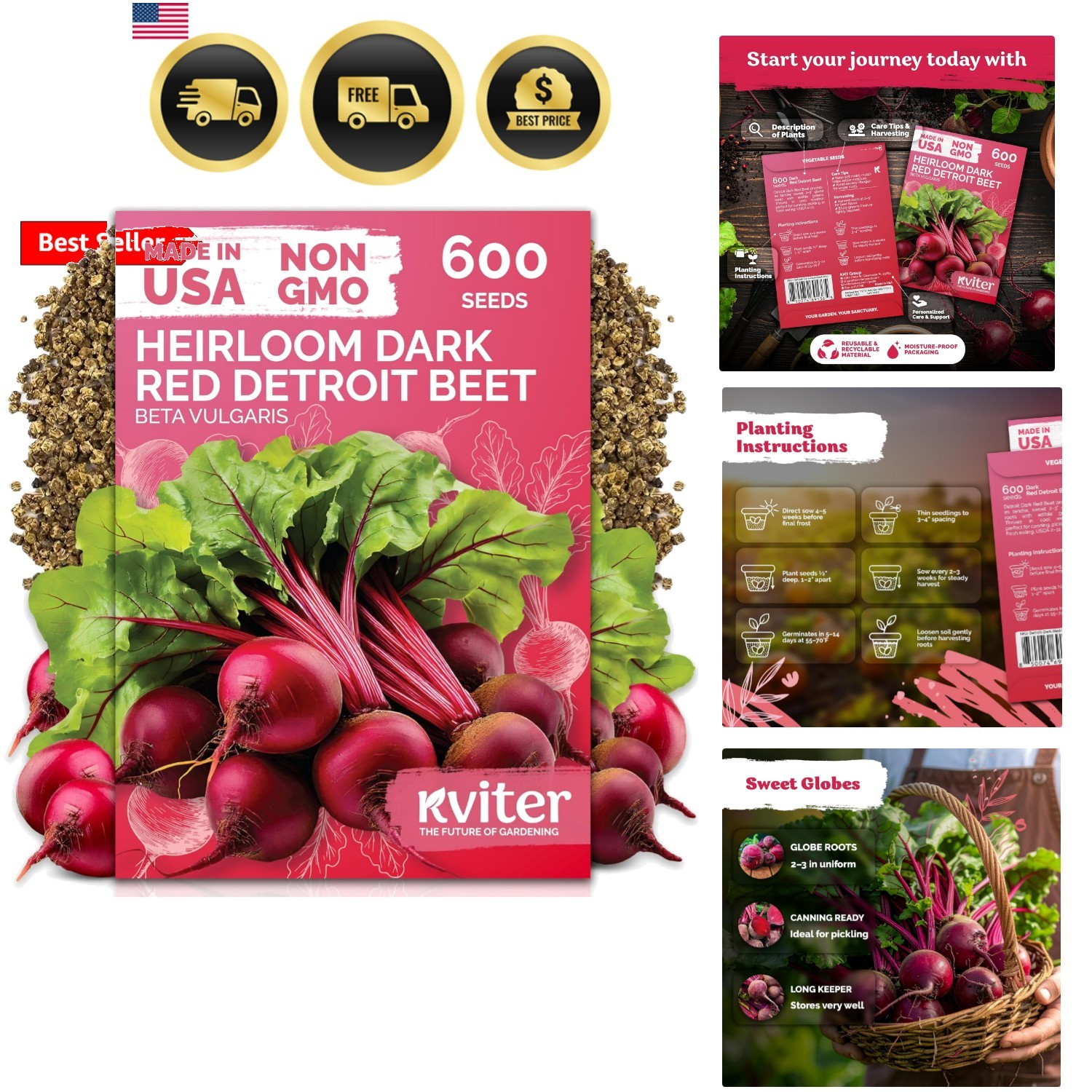 600 Detroit Dark Red Beet Seeds Beta vulgaris – Known As Beet Root, Tender & …