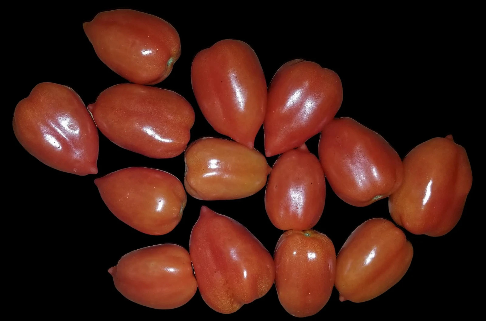 Micro Dwarf Heartbreaker Tomato– Heart-Shaped Fruits, Ideal for Indoor, Outdoor