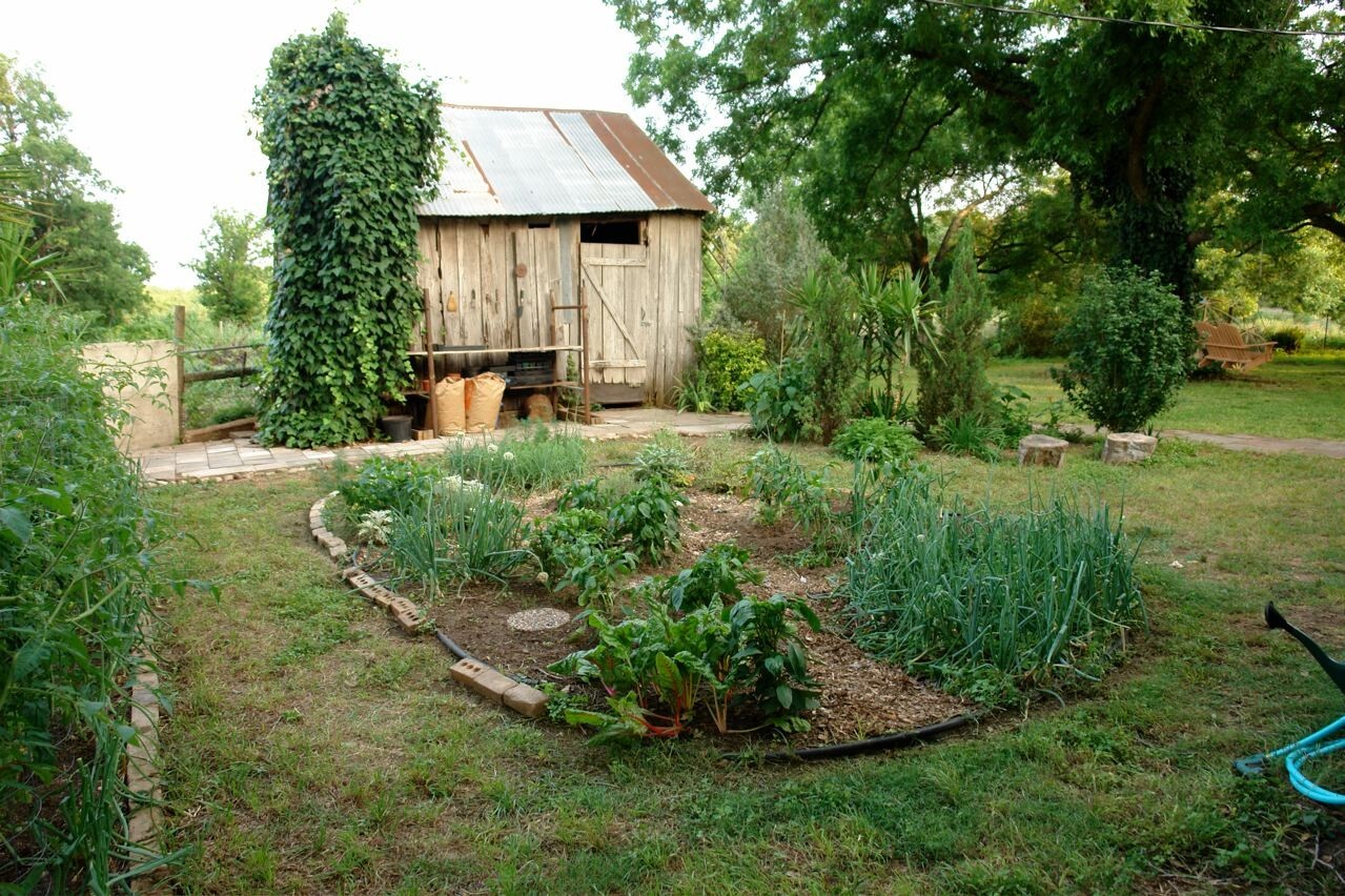 Small Garden Seed Cache Heirloom, Non – Gmo, Non-Hybrid Garden Seeds