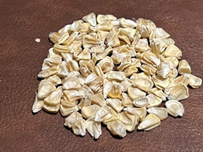 100% Organic, Silver, Hawaiian #9, Super, Sweet Corn, Heirloom, Open