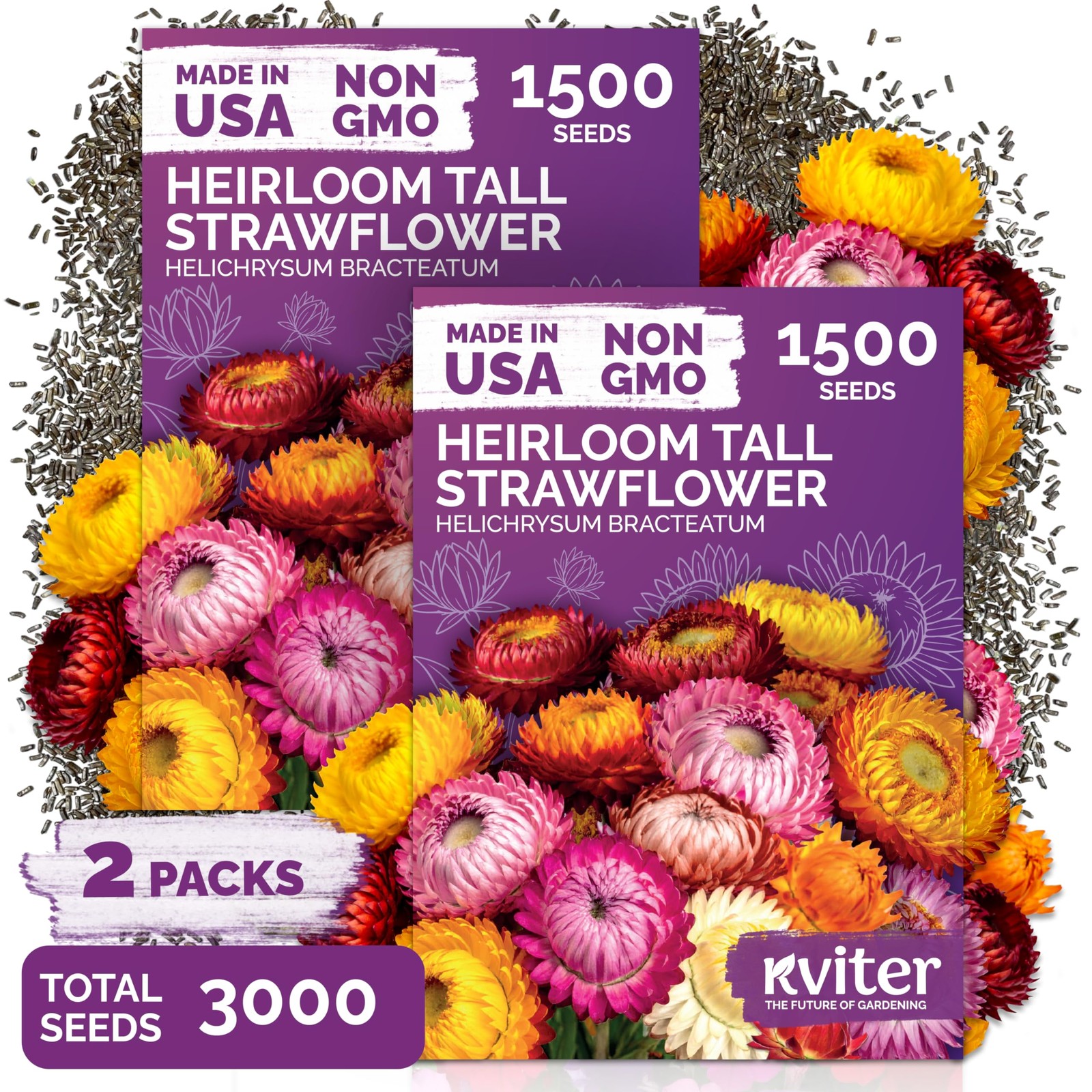 KVITER 3,000 Tall Mix Strawflower Seeds (Helichrysum Bracteatum), 2 Pack
