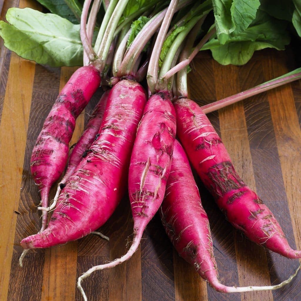 China Rose Radish Seeds | Pink Red Daikon Radishes Asian Vegetable Seed 2024