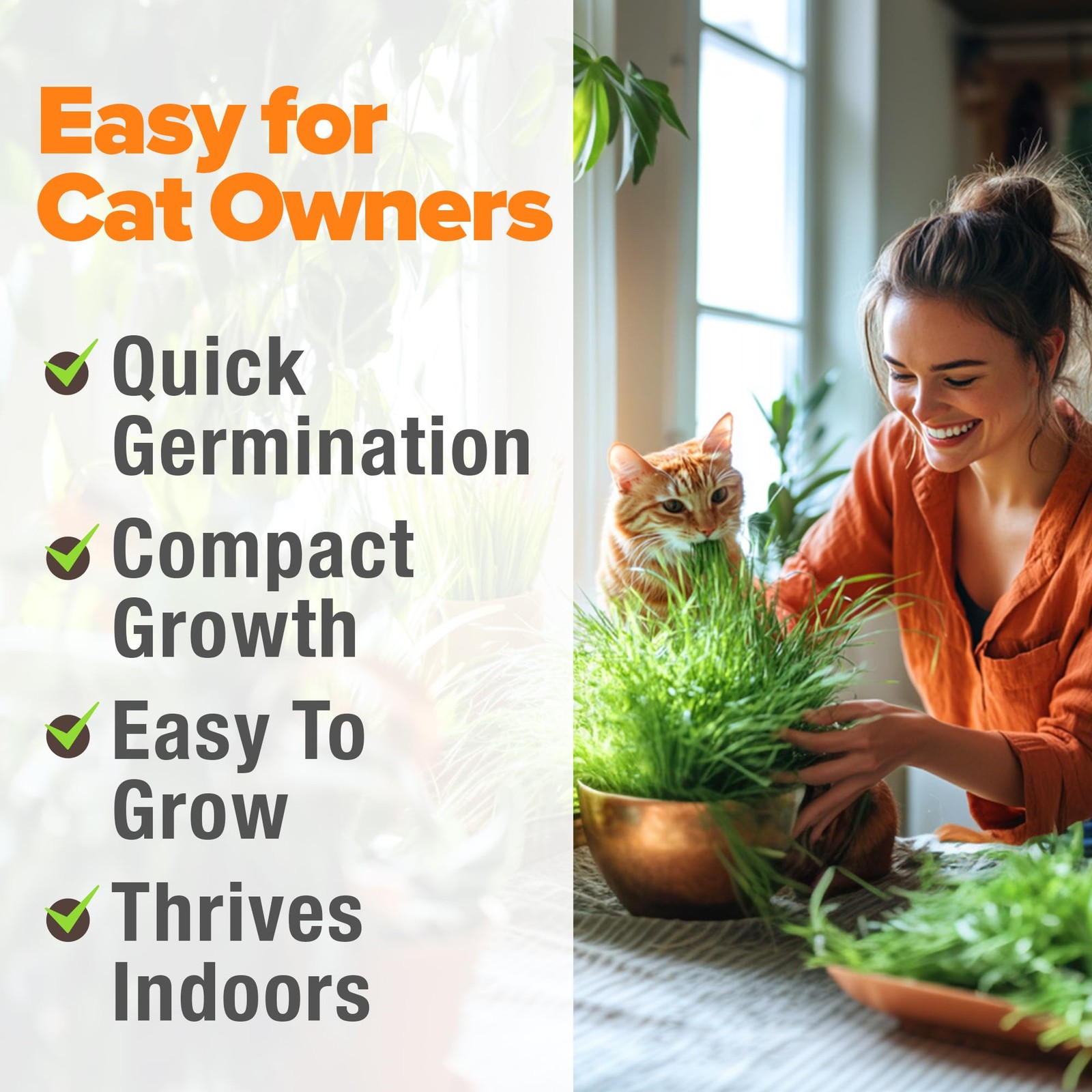 Non GMO 1 Pound Cat Grass 12,700+ Seeds & Kittens Oat & Barley Mix 100% Heirl…