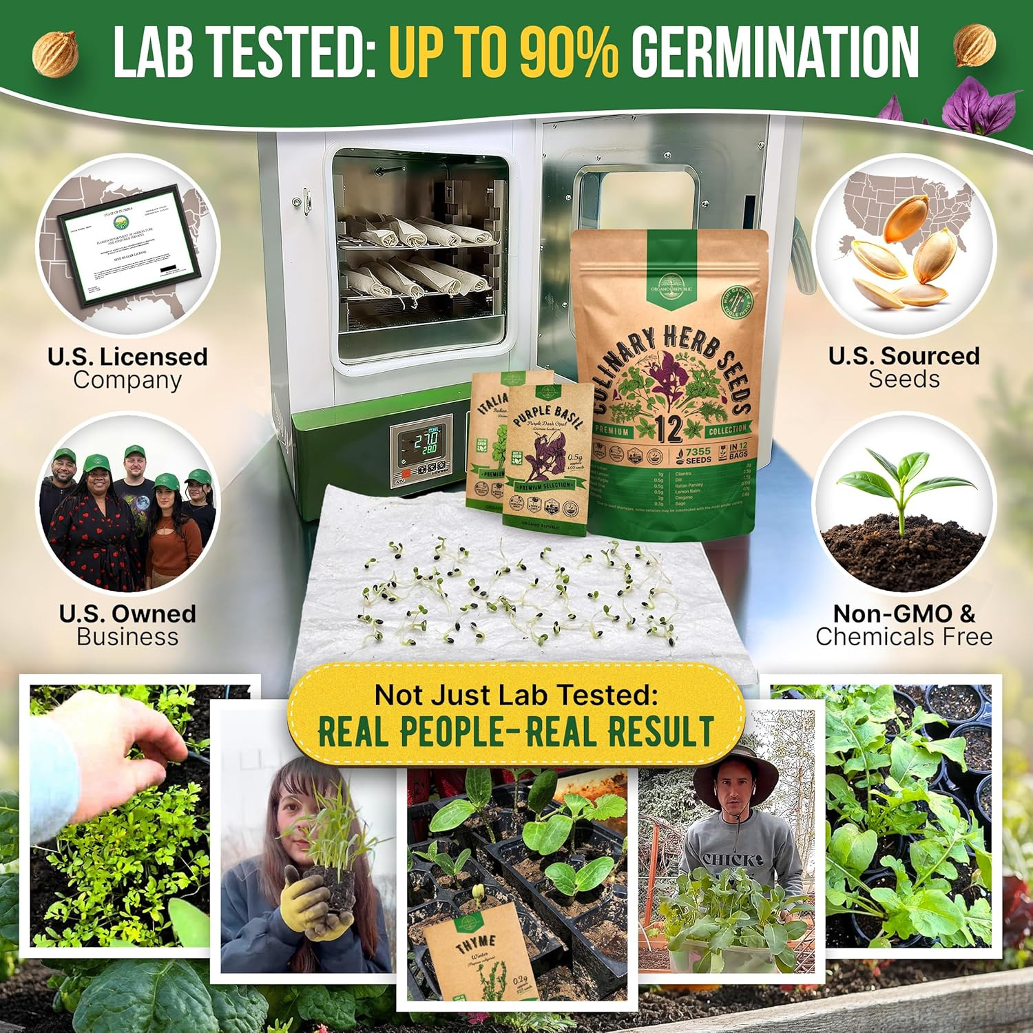 Culinary Herb Seeds Variety Pack 12 Types Non-GMO Heirloom Indoor Outdoor Garden