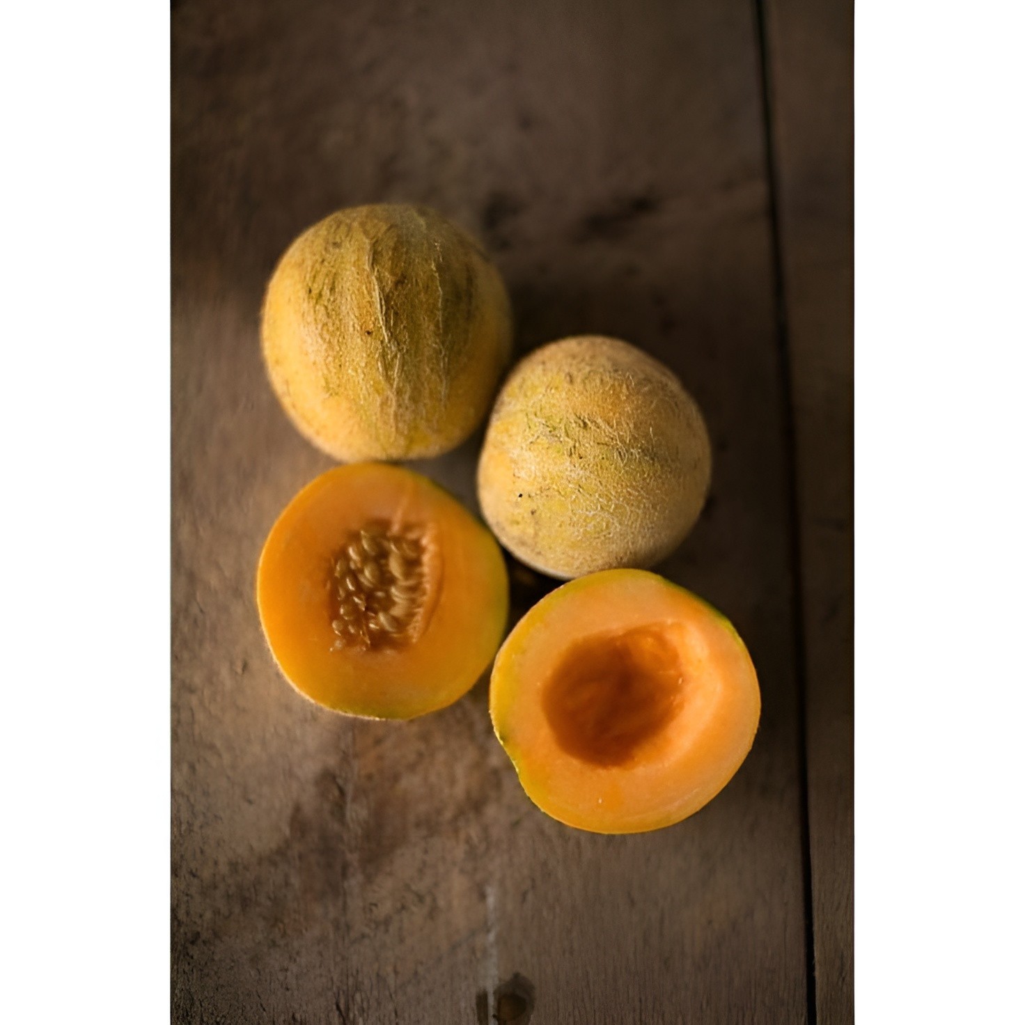 50 Heirloom Minnesota Midget Melon Seeds – Super Sweet – Super Fast Growing!
