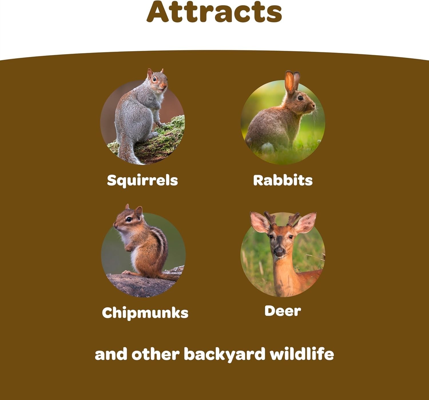 5 Pound Nature’s Blend Wildlife Food for Rabbits, Squirrels & Chipmunks