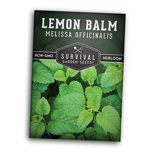 Lemon Balm Seeds for Planting – Melissa Officinalis Herb for Tea and 1