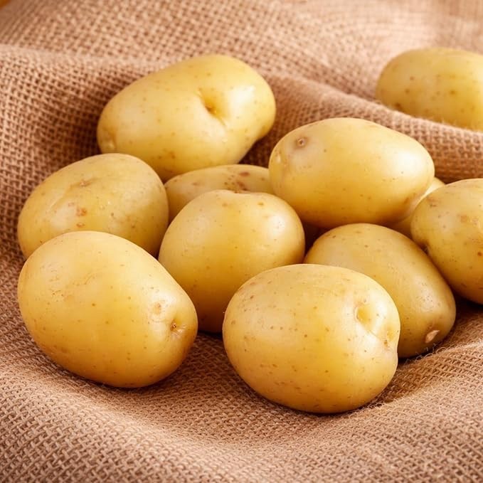 Superior Seed Potatoes for Planting | Early Season White Potato (3 Pounds)