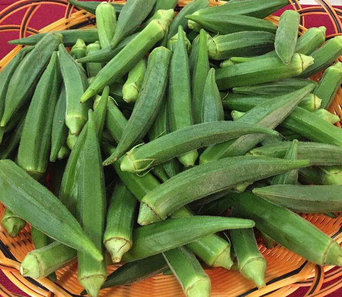 50+ Okra Seeds Emerald Okra Vegetable Fresh Garden Seeds USA