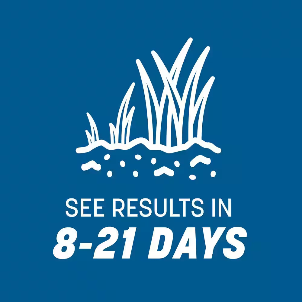 Rebels 40 Lbs. 13,320 Sq. Ft. Sun and Shade Grass Seed Blend