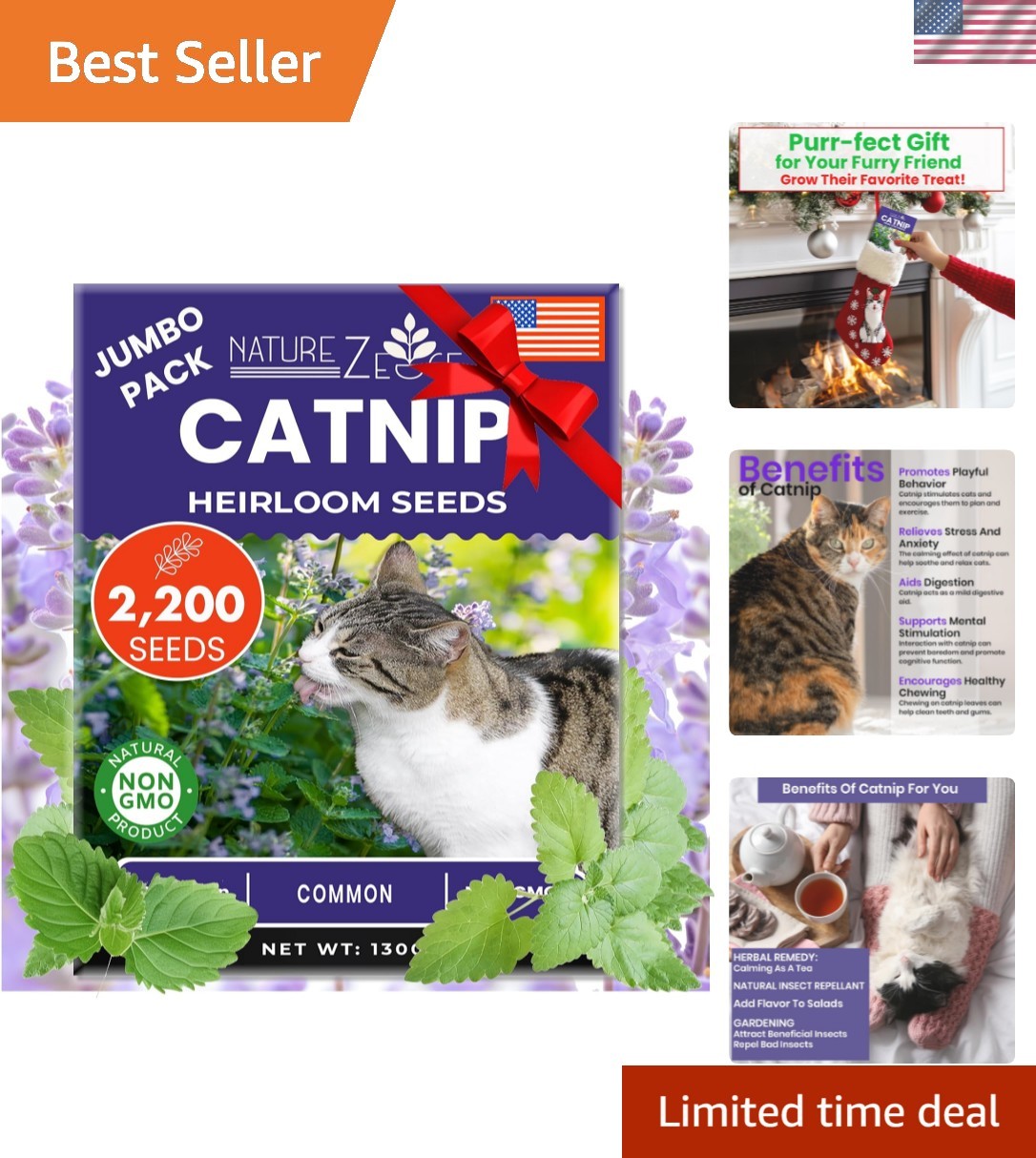 Catnip Seeds for Planting, 2200+ Herb Seeds, Indoor or Outdoor Growing, Cat N…