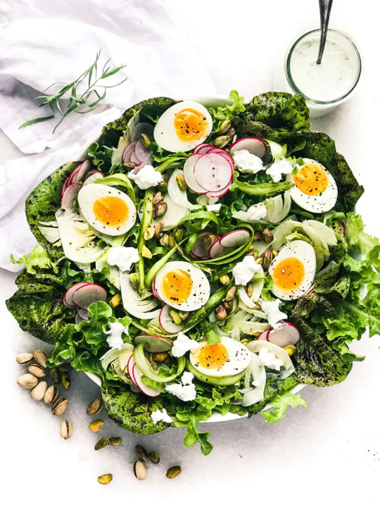 Freckles Romaine Lettuce Seeds | Lactuca Red Speckled Leaf Vegetable Seed 2024