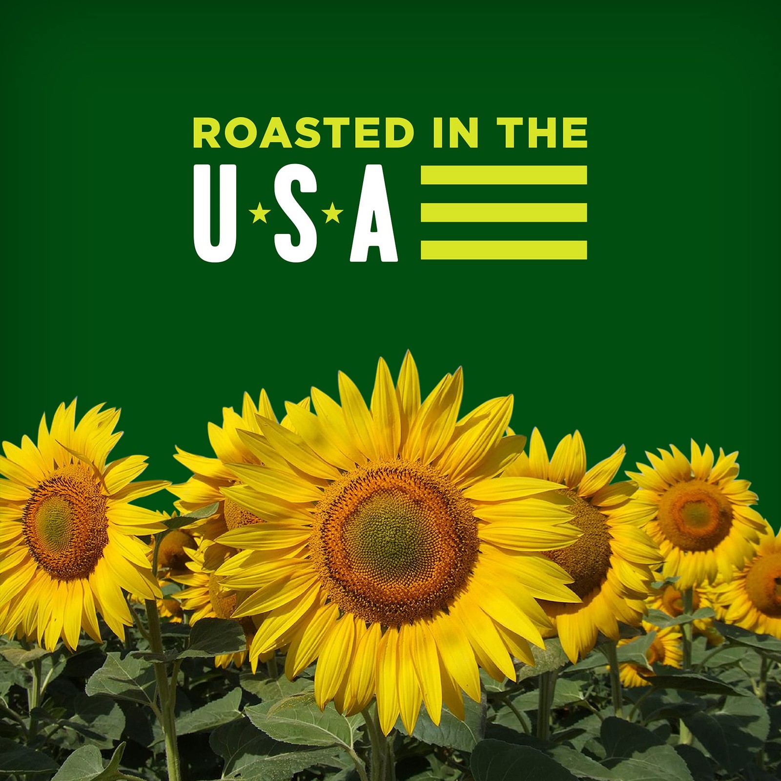 Sunflower Seeds, Vlasic Dill Pickle Flavor, 5.35 Oz.