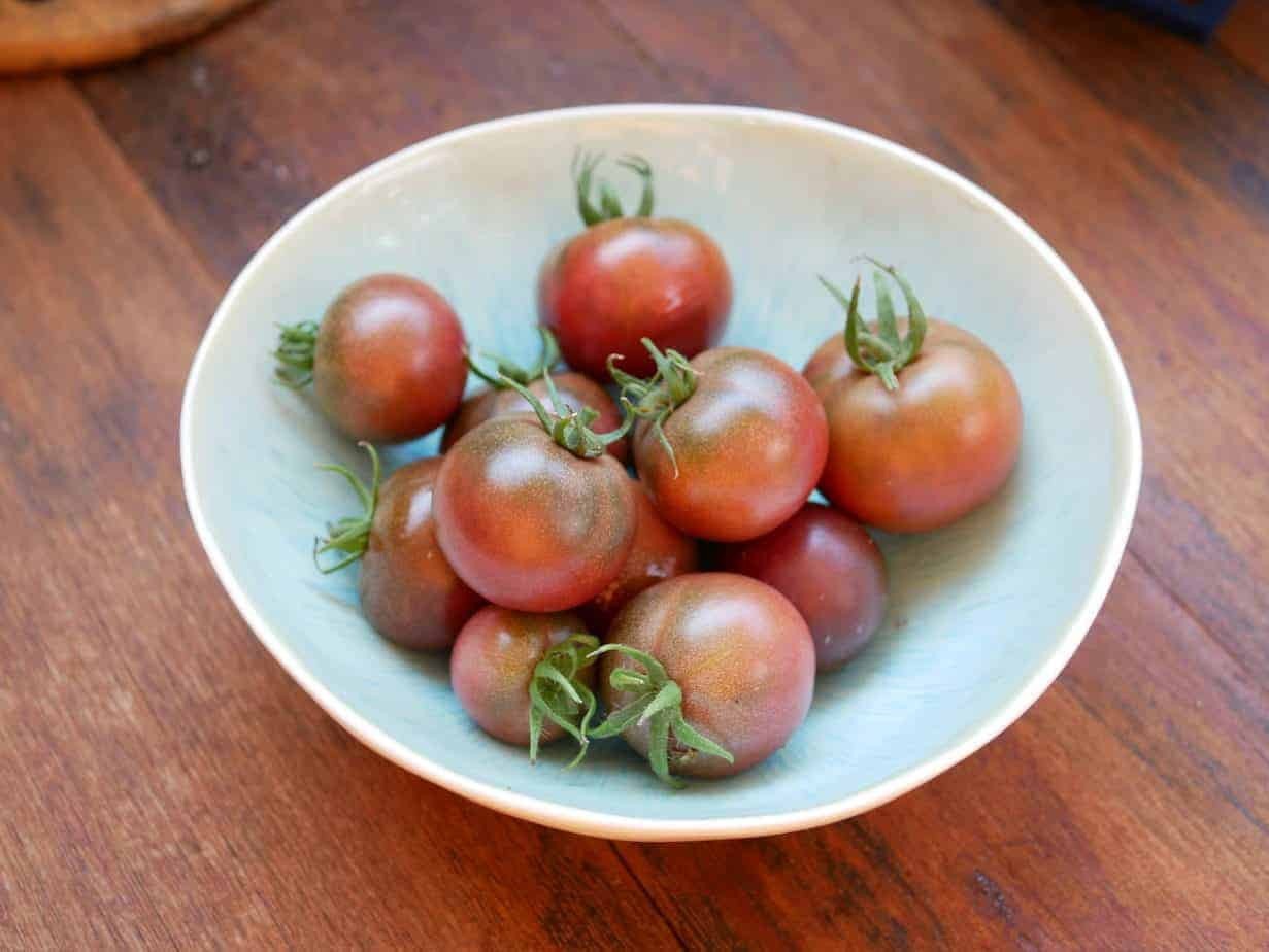 10 seeds Dwarf Velvet Night Tomato Purple cherry ORGANIC Rare Variety DTP
